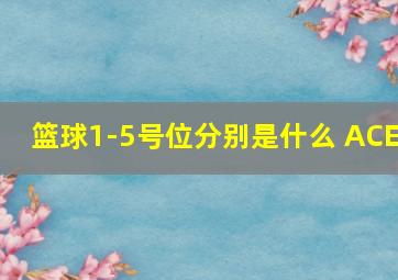 篮球1-5号位分别是什么 ACE